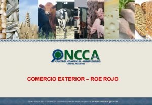 COMERCIO EXTERIOR ROE ROJO ESTADSTICAS DE EXPORTACIONES AUTORIZACIONES