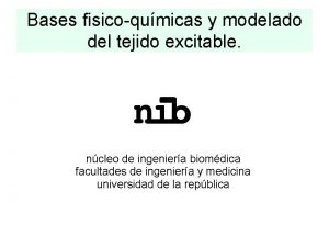 Bases fisicoqumicas y modelado del tejido excitable ncleo