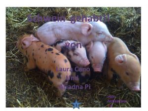 Schwein gehabt von Laura Cano Und Ariadna Pi