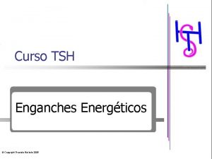 Curso TSH Enganches Energticos Copyright Graciela Brbulo 2005