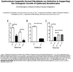 Dyskeratosis Congenita Dermal Fibroblasts are Defective in Supporting