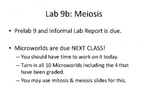 Lab 9 b Meiosis Prelab 9 and Informal