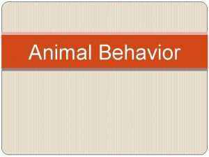 Animal Behavior Behavior is the way an animal