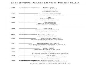 TEORA CELULAR n n n 1665 Blgo Robert