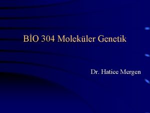 BO 304 Molekler Genetik Dr Hatice Mergen Genetik