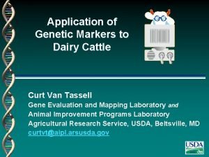 Application of Genetic Markers to Dairy Cattle Curt