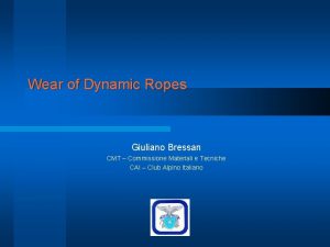 Wear of Dynamic Ropes Giuliano Bressan CMT Commissione