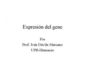 Expresin del gene Por Prof Ivn Dvila Marcano