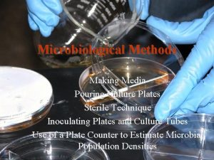 Microbiological Methods Making Media Pouring Culture Plates Sterile