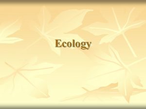 Ecology What is Ecology n Ecology is the