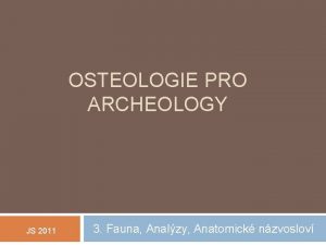 OSTEOLOGIE PRO ARCHEOLOGY JS 2011 3 Fauna Analzy