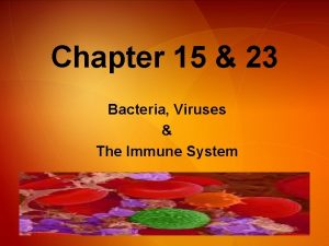 Chapter 15 23 Bacteria Viruses The Immune System