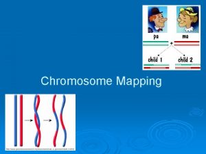 Chromosome Mapping Recombination in meiosis recombination generates haploid
