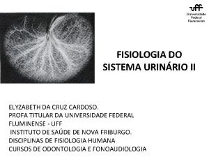 FISIOLOGIA DO SISTEMA URINRIO II ELYZABETH DA CRUZ