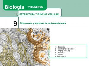 Biologa 2 Bachillerato II ESTRUCTURA Y FUNCIN CELULAR