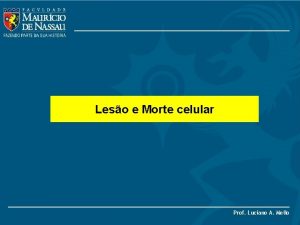 Leso e Morte celular Prof Luciano A Mello