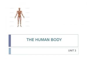 Unit 3 the human body