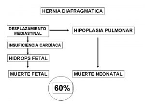 HERNIA DIAFRAGMATICA DESPLAZAMIENTO MEDIASTINAL HIPOPLASIA PULMONAR INSUFICIENCIA CARDACA