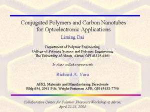 Conjugated Polymers and Carbon Nanotubes for Optoelectronic Applications