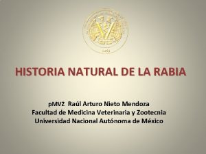 Historia natural de la rabia