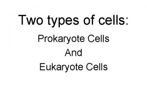 Two types of cells Prokaryote Cells And Eukaryote