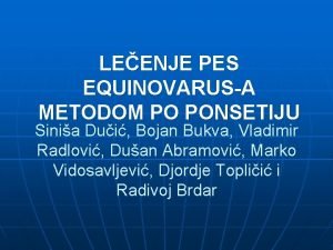 LEENJE PES EQUINOVARUSA METODOM PO PONSETIJU Sinia Dui