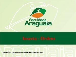 Insecta Ordens Professor Guilherme Ferreira de Lima Filho