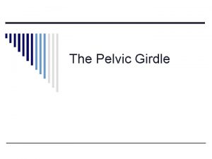 The Pelvic Girdle The Pelvic Girdle A General