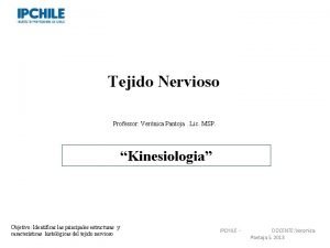 Función del sistema nervioso