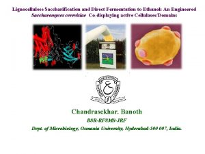 Lignocellulose Saccharification and Direct Fermentation to Ethanol An
