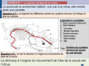 EXERCICE 1 La raction de fuite de la