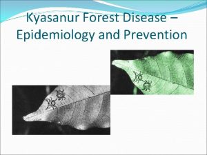 Kyasanur Forest Disease Epidemiology and Prevention History Heavy
