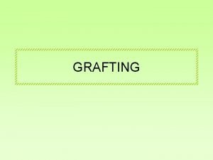 GRAFTING Grafting Il grafting una tecnica usata per
