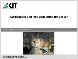 Kleinsuger und ihre Bedeutung fr Zecken Zoologisches Institut