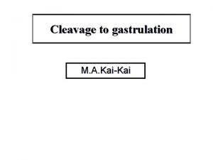 Cleavage to gastrulation M A KaiKai Learning Objectives