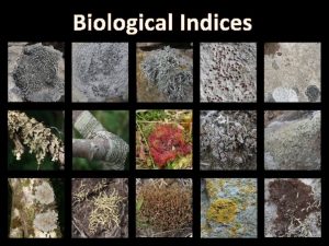 Biological Indices Using Lichens as Biological Indicators of