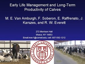 Early Life Management and LongTerm Productivity of Calves