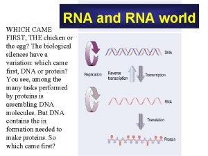 RNA and RNA world WHICH CAME FIRST THE