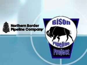 Bison pipeline