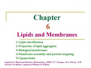 Liposomes vs micelles