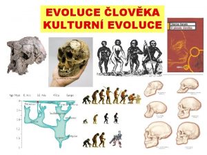 EVOLUCE LOVKA KULTURN EVOLUCE EVOLUCE LOVKA Fylogenetick pvod