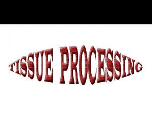 Tissue processing