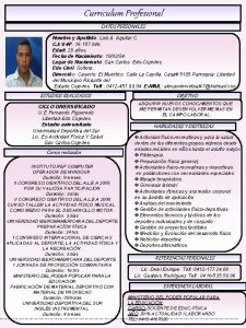 Curriculum Profesional DATOS PERSONALES Nombre y Apellido Luis