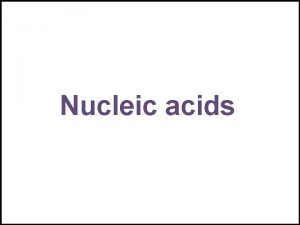 Nucleic acids Nucleic Acid Macromolecules found in eukaryotic