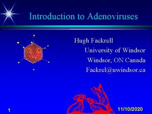 Introduction to Adenoviruses Hugh Fackrell University of Windsor