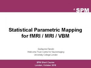 Statistical parametric mapping software