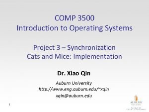 COMP 3500 Introduction to Operating Systems Project 3
