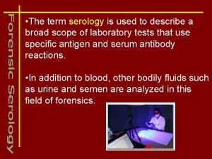 The term serology is used to describe a