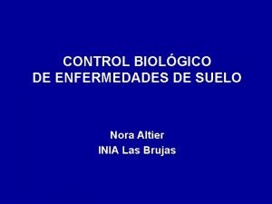 CONTROL BIOLGICO DE ENFERMEDADES DE SUELO Nora Altier