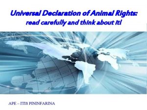 The universal declaration of animal rights